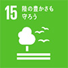 SDGs̎g
